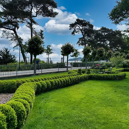 Duenengold In Der Haiderose