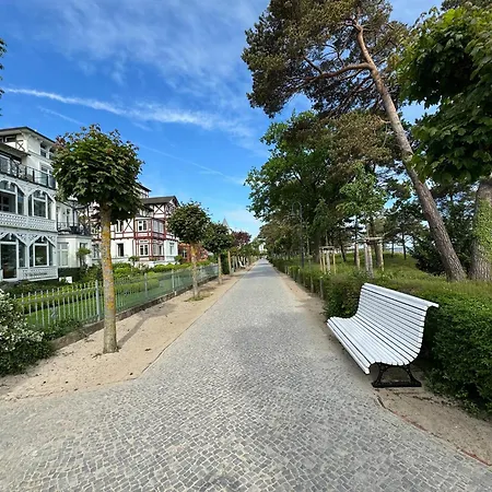 Duenengold In Der Haiderose *